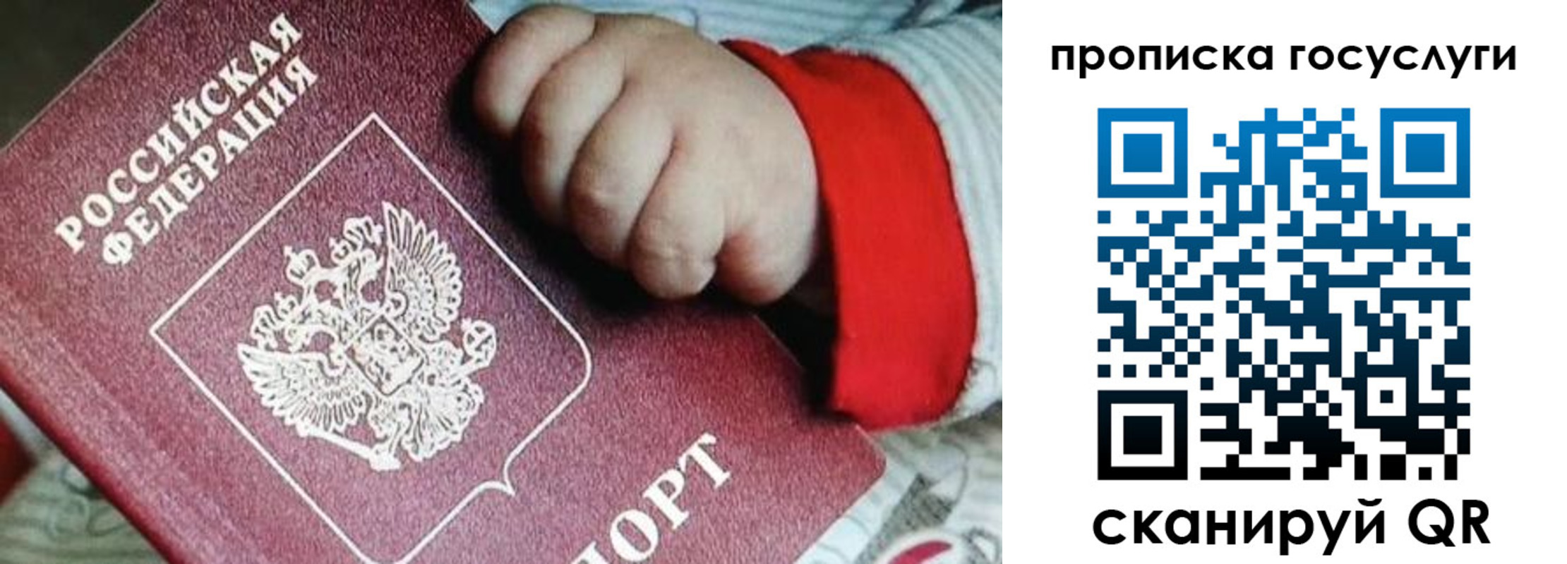 прописка штамп в Ковдоре